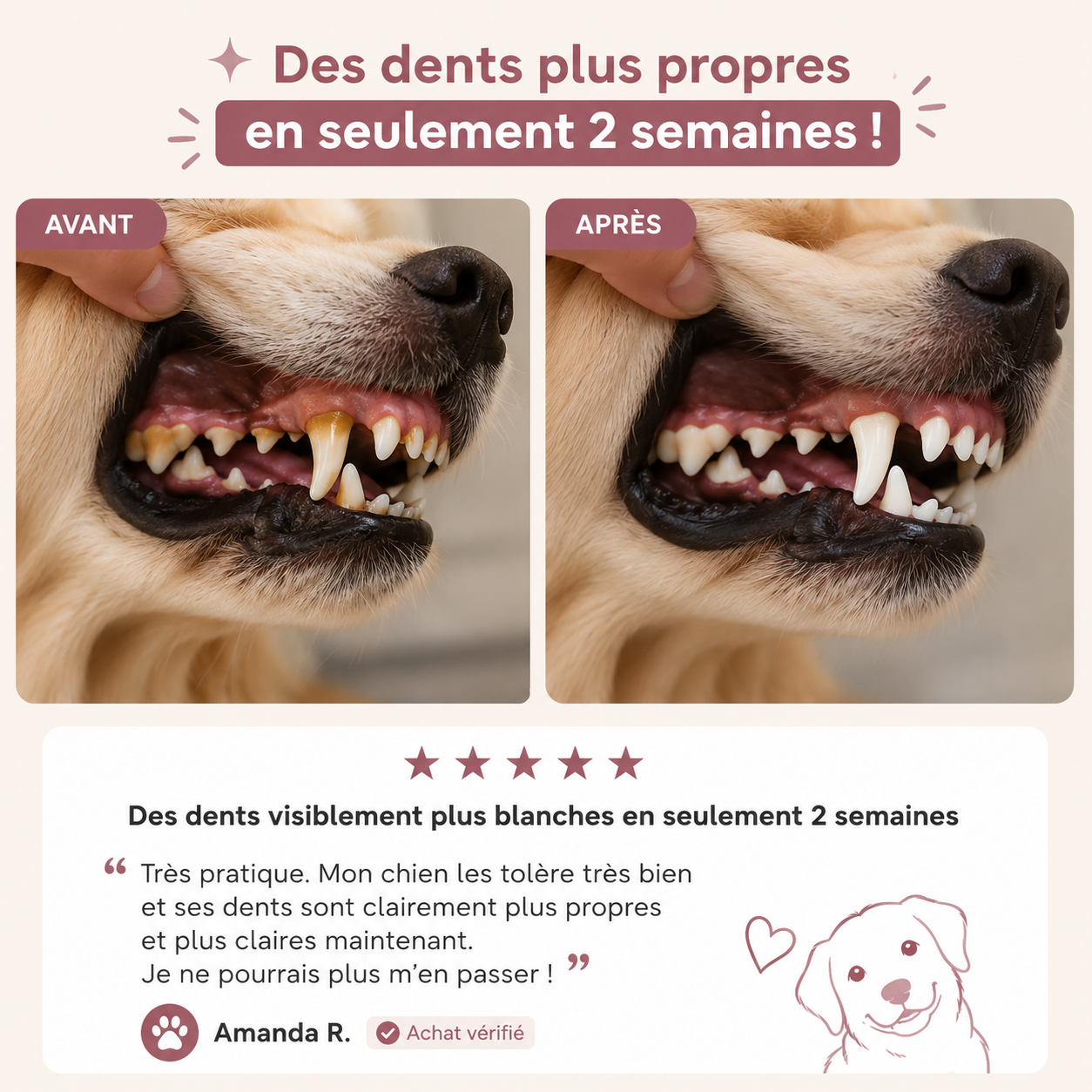 Lingettes doigtier chien 3-en-1, dents, oreilles et yeux, sans alcool, 50 lingettes