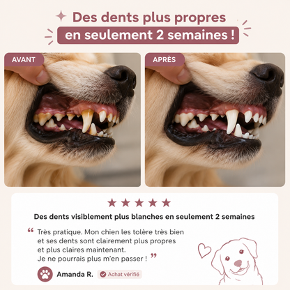 Lingettes doigtier chien 3-en-1, dents, oreilles et yeux, sans alcool, 50 lingettes