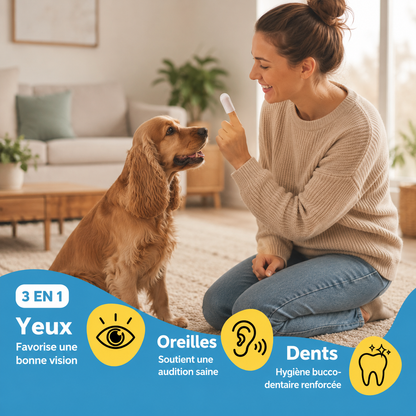 Lingettes doigtier chien 3-en-1, dents, oreilles et yeux, sans alcool, 50 lingettes