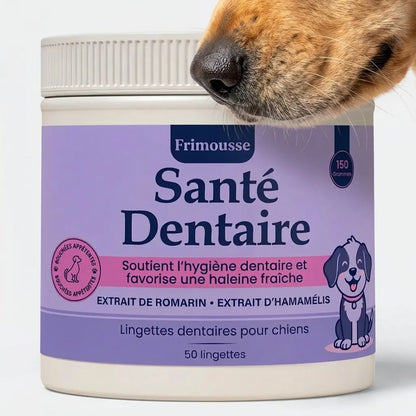 Lingettes Dentaires | Des dents propres et une haleine fraîche dès 7 jours : élimine jusqu'à 99 % de la plaque et des bactéries, en 30 secondes par jour et sans brosse