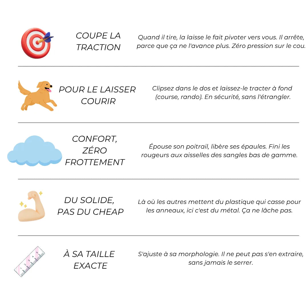 Harnais Anti-Traction 2-en-1 - Il Arrête de Tirer Dès la 1ère Sortie - Confortable Sans l'Étrangler - Pour Petit & Grand Chien
