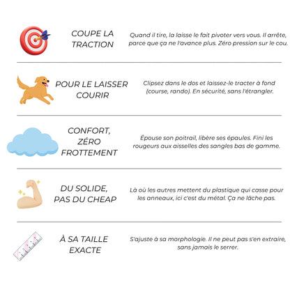 Harnais Anti-Traction 2-en-1 - Il Arrête de Tirer Dès la 1ère Sortie - Confortable Sans l'Étrangler - Pour Petit & Grand Chien