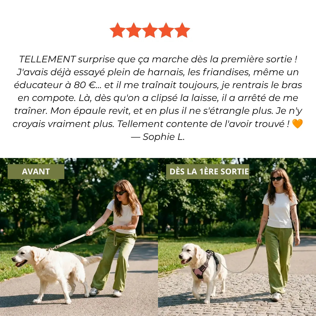 Harnais Anti-Traction 2-en-1 - Il Arrête de Tirer Dès la 1ère Sortie - Confortable Sans l'Étrangler - Pour Petit & Grand Chien