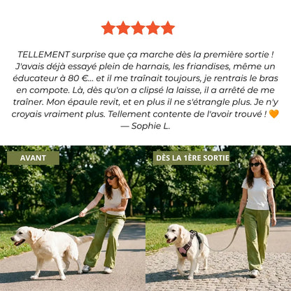 Harnais Anti-Traction 2-en-1 - Il Arrête de Tirer Dès la 1ère Sortie - Confortable Sans l'Étrangler - Pour Petit & Grand Chien