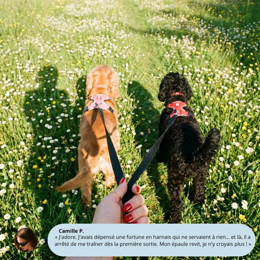 Harnais Anti-Traction 2-en-1 - Il Arrête de Tirer Dès la 1ère Sortie - Confortable Sans l'Étrangler - Pour Petit & Grand Chien