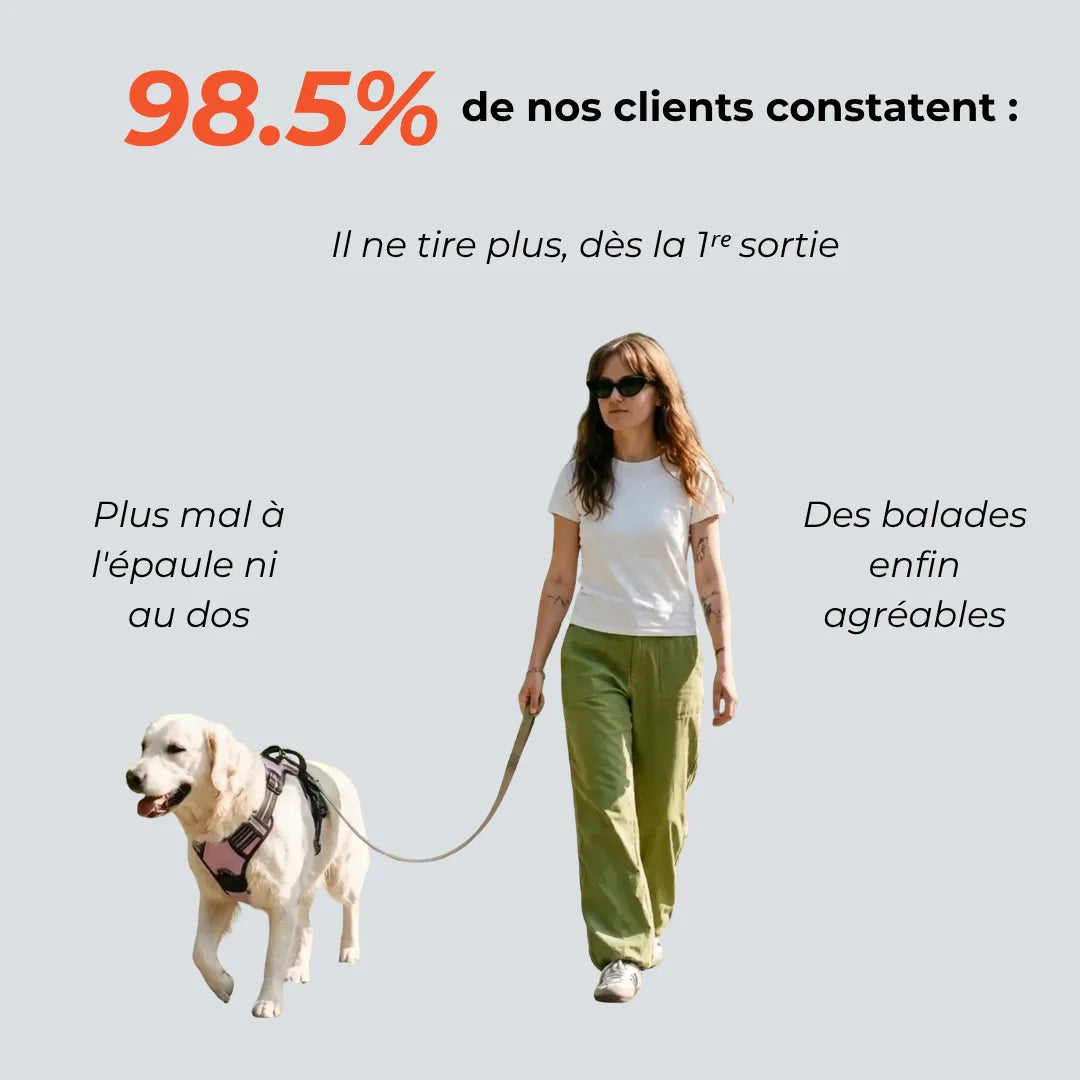 Harnais Anti-Traction 2-en-1 - Il Arrête de Tirer Dès la 1ère Sortie - Confortable Sans l'Étrangler - Pour Petit & Grand Chien