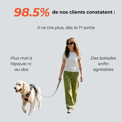 Harnais Anti-Traction 2-en-1 - Il Arrête de Tirer Dès la 1ère Sortie - Confortable Sans l'Étrangler - Pour Petit & Grand Chien