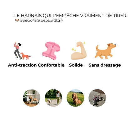 Harnais Anti-Traction 2-en-1 - Il Arrête de Tirer Dès la 1ère Sortie - Confortable Sans l'Étrangler - Pour Petit & Grand Chien