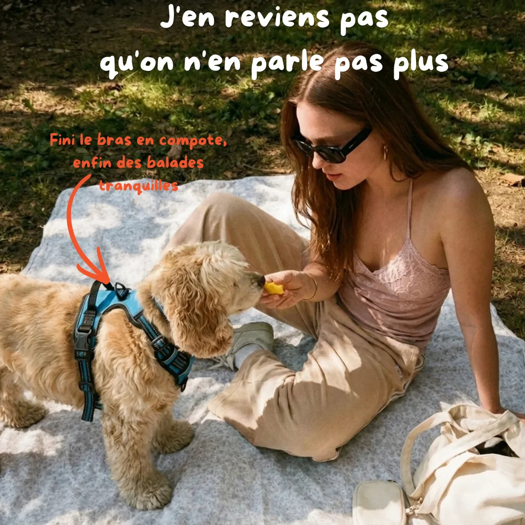 Harnais Anti-Traction 2-en-1 - Il Arrête de Tirer Dès la 1ère Sortie - Confortable Sans l'Étrangler - Pour Petit & Grand Chien