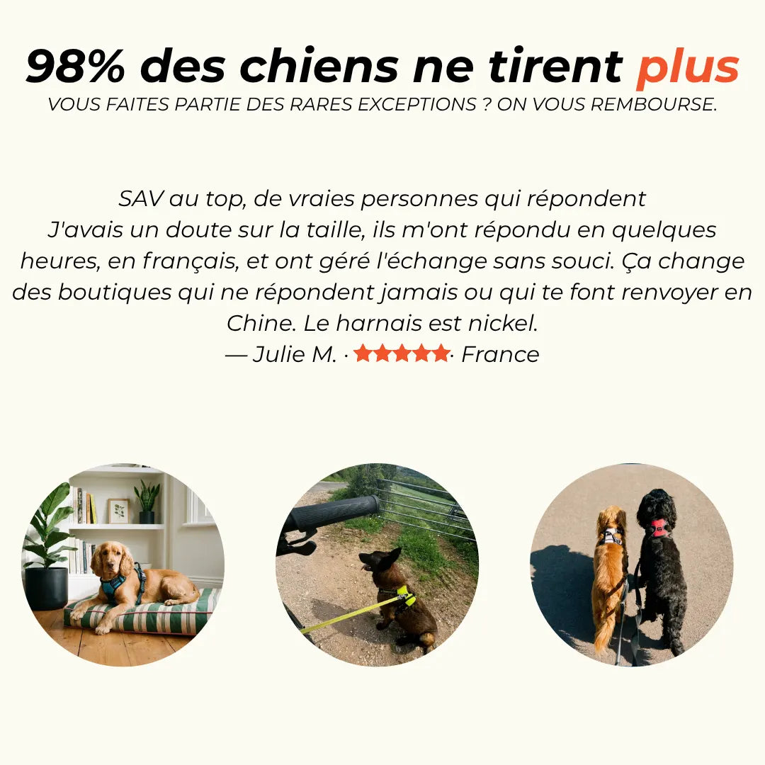 Harnais Anti-Traction 2-en-1 - Il Arrête de Tirer Dès la 1ère Sortie - Confortable Sans l'Étrangler - Pour Petit & Grand Chien
