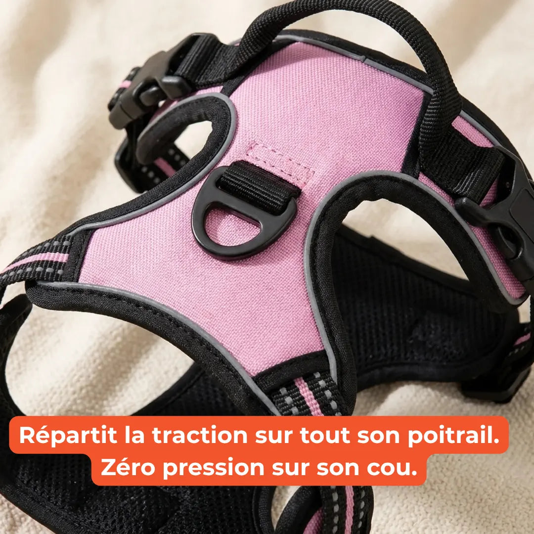 Harnais Anti-Traction 2-en-1 - Il Arrête de Tirer Dès la 1ère Sortie - Confortable Sans l'Étrangler - Pour Petit & Grand Chien