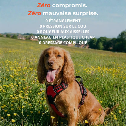 Harnais Anti-Traction 2-en-1 - Il Arrête de Tirer Dès la 1ère Sortie - Confortable Sans l'Étrangler - Pour Petit & Grand Chien