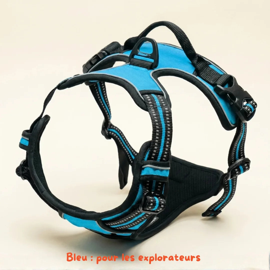 Harnais Anti-Traction 2-en-1 - Il Arrête de Tirer Dès la 1ère Sortie - Confortable Sans l'Étrangler - Pour Petit & Grand Chien