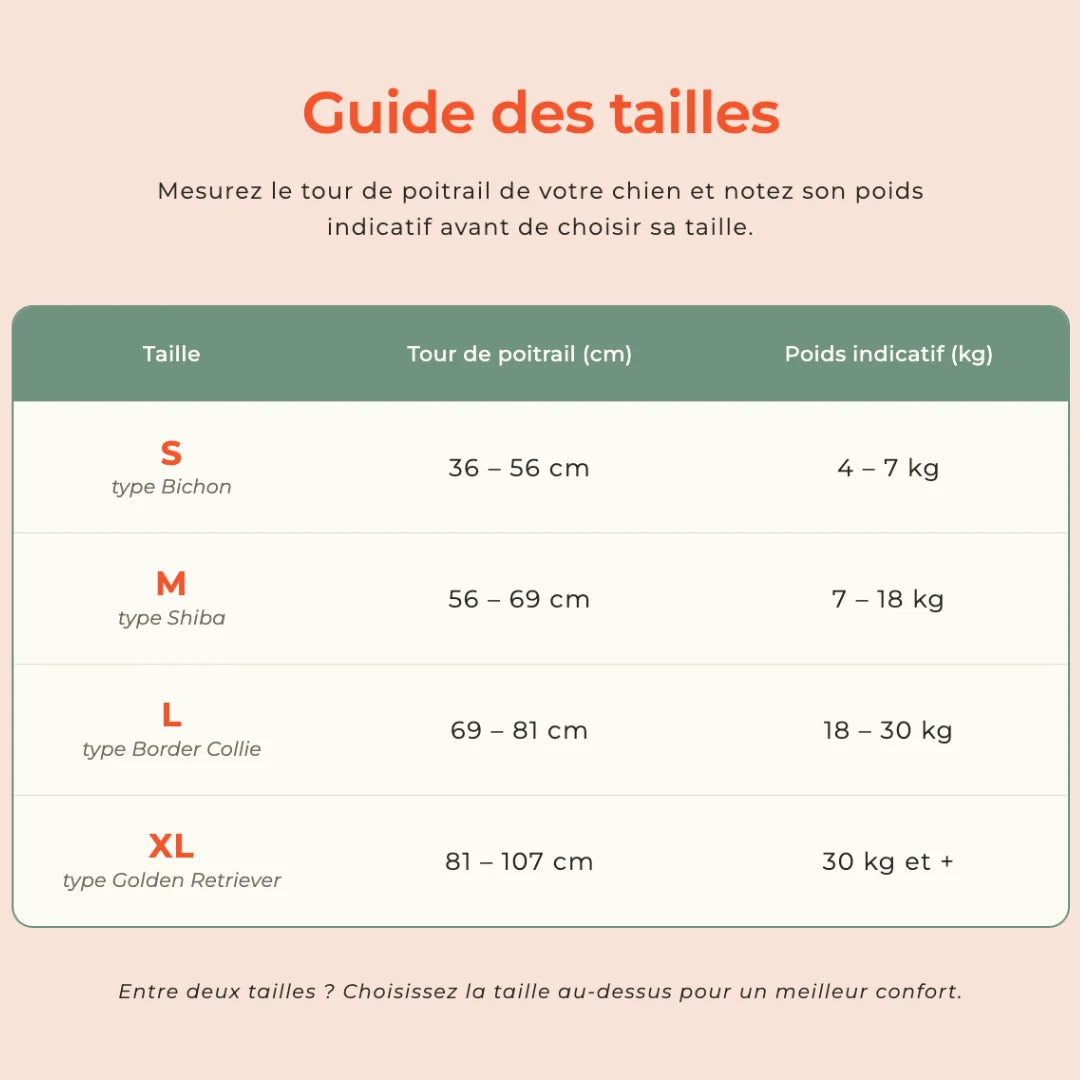 Harnais Anti-Traction 2-en-1 - Il Arrête de Tirer Dès la 1ère Sortie - Confortable Sans l'Étrangler - Pour Petit & Grand Chien