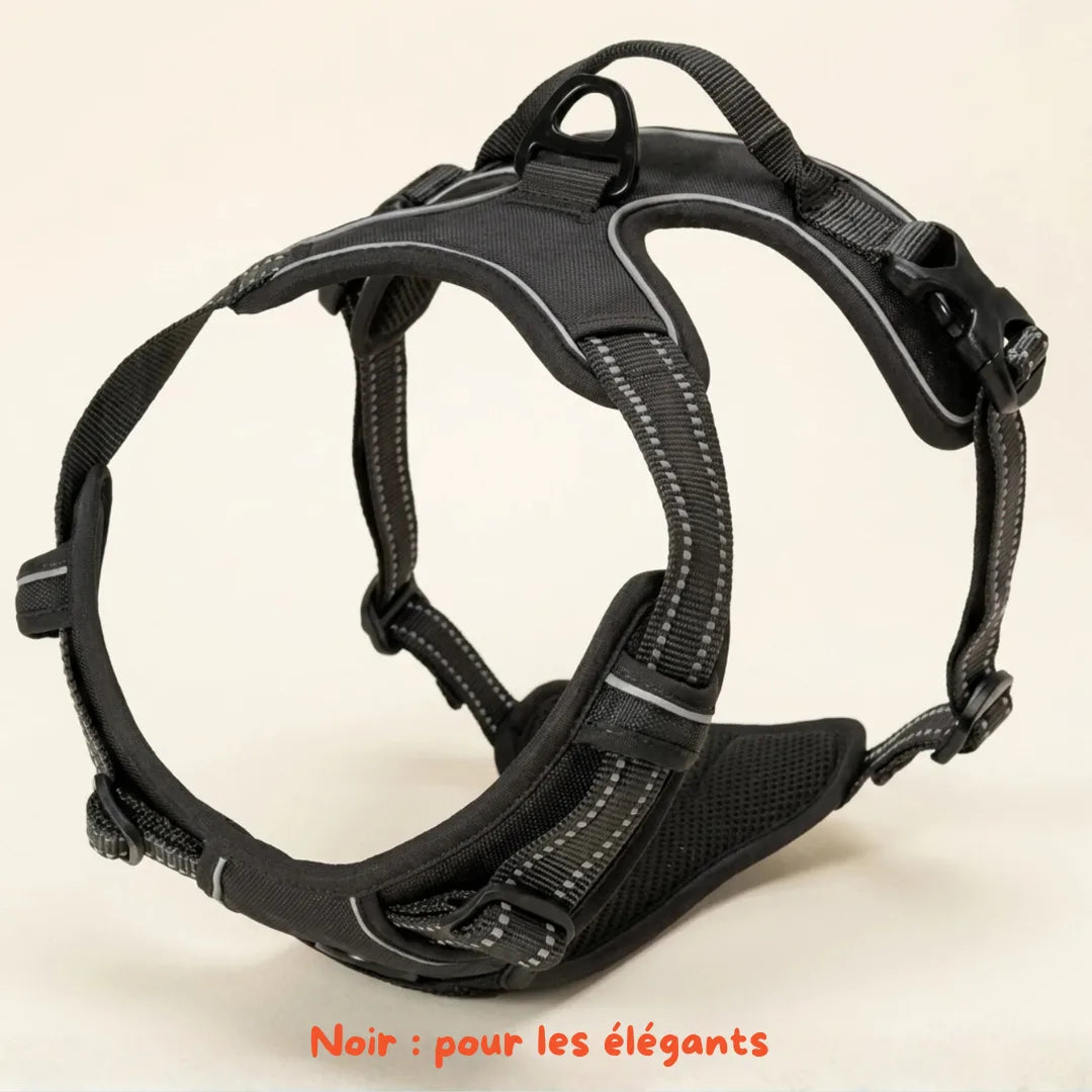 Harnais Anti-Traction 2-en-1 - Il Arrête de Tirer Dès la 1ère Sortie - Confortable Sans l'Étrangler - Pour Petit & Grand Chien