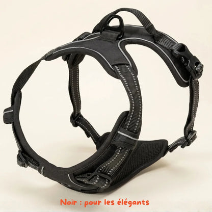 Harnais Anti-Traction 2-en-1 - Il Arrête de Tirer Dès la 1ère Sortie - Confortable Sans l'Étrangler - Pour Petit & Grand Chien