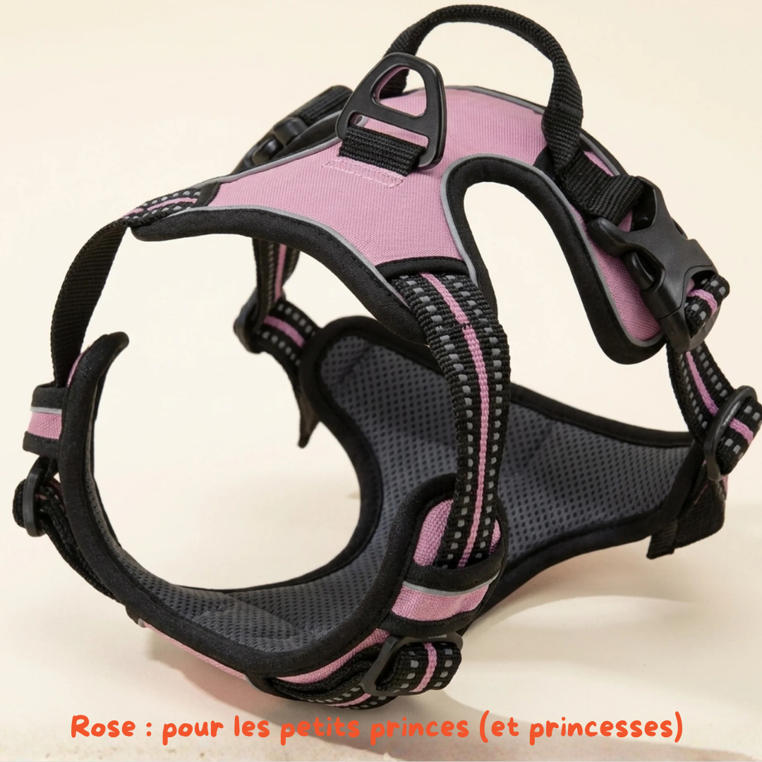 Harnais Anti-Traction 2-en-1 - Il Arrête de Tirer Dès la 1ère Sortie - Confortable Sans l'Étrangler - Pour Petit & Grand Chien