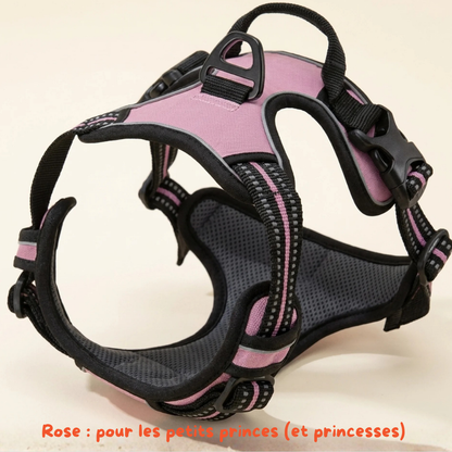 Harnais Anti-Traction 2-en-1 - Il Arrête de Tirer Dès la 1ère Sortie - Confortable Sans l'Étrangler - Pour Petit & Grand Chien