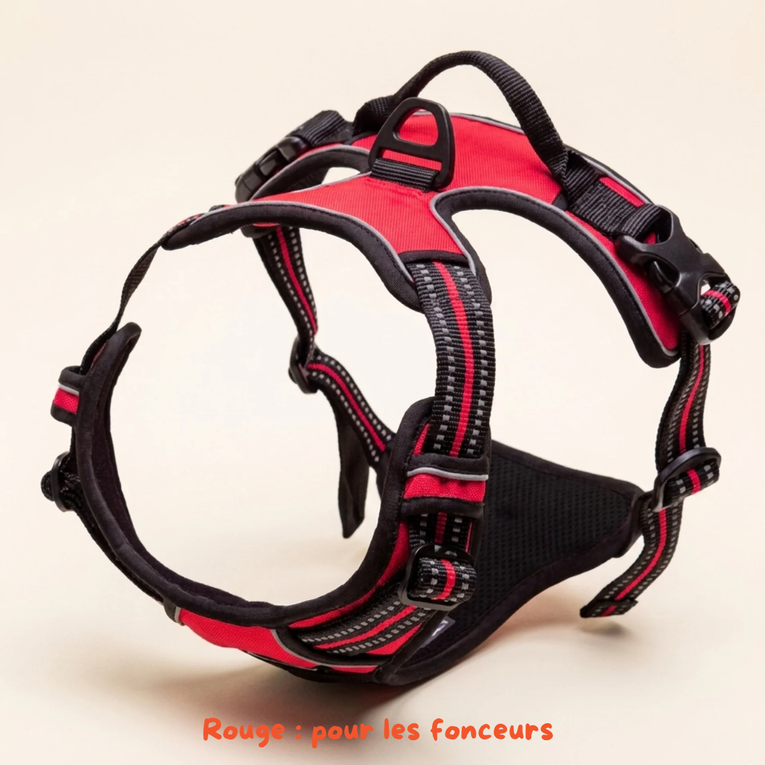 Harnais Anti-Traction 2-en-1 - Il Arrête de Tirer Dès la 1ère Sortie - Confortable Sans l'Étrangler - Pour Petit & Grand Chien