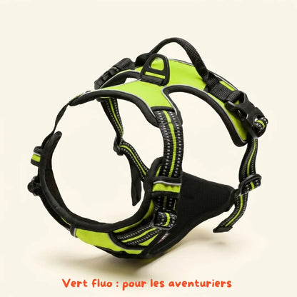 Harnais Anti-Traction 2-en-1 - Il Arrête de Tirer Dès la 1ère Sortie - Confortable Sans l'Étrangler - Pour Petit & Grand Chien