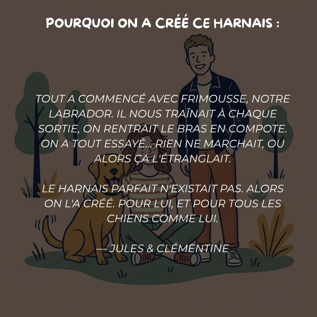 Harnais Anti-Traction 2-en-1 - Il Arrête de Tirer Dès la 1ère Sortie - Confortable Sans l'Étrangler - Pour Petit & Grand Chien