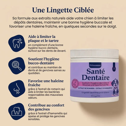 Lingettes Dentaires | Des dents propres et une haleine fraîche dès 7 jours : élimine jusqu'à 99 % de la plaque et des bactéries, en 30 secondes par jour et sans brosse