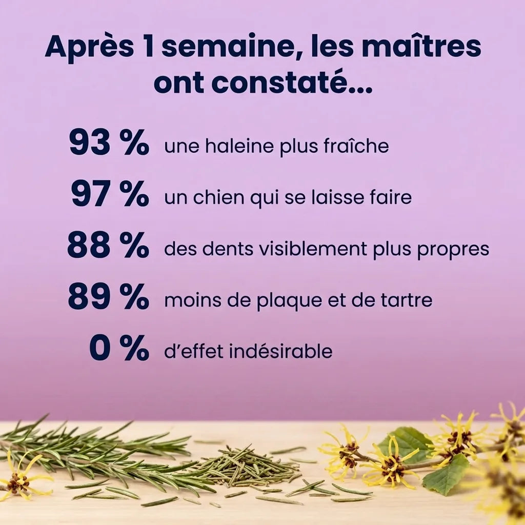 Lingettes Dentaires | Des dents propres et une haleine fraîche dès 7 jours : élimine jusqu'à 99 % de la plaque et des bactéries, en 30 secondes par jour et sans brosse