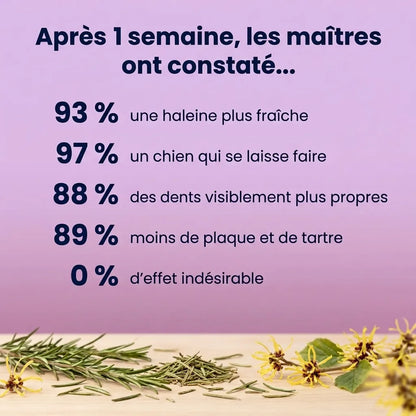 Lingettes Dentaires | Des dents propres et une haleine fraîche dès 7 jours : élimine jusqu'à 99 % de la plaque et des bactéries, en 30 secondes par jour et sans brosse