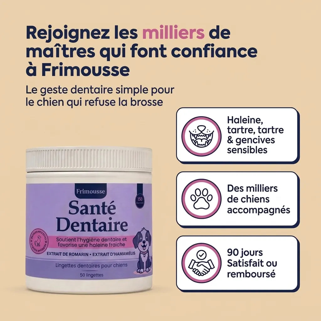 Lingettes Dentaires | Des dents propres et une haleine fraîche dès 7 jours : élimine jusqu'à 99 % de la plaque et des bactéries, en 30 secondes par jour et sans brosse