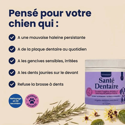 Lingettes Dentaires | Des dents propres et une haleine fraîche dès 7 jours : élimine jusqu'à 99 % de la plaque et des bactéries, en 30 secondes par jour et sans brosse