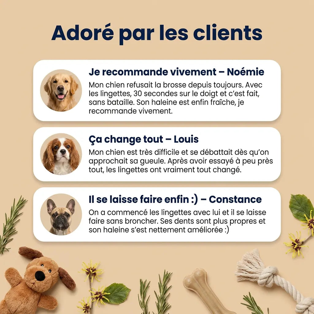 Lingettes Dentaires | Des dents propres et une haleine fraîche dès 7 jours : élimine jusqu'à 99 % de la plaque et des bactéries, en 30 secondes par jour et sans brosse