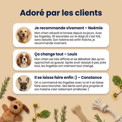 Lingettes Dentaires | Des dents propres et une haleine fraîche dès 7 jours : élimine jusqu'à 99 % de la plaque et des bactéries, en 30 secondes par jour et sans brosse