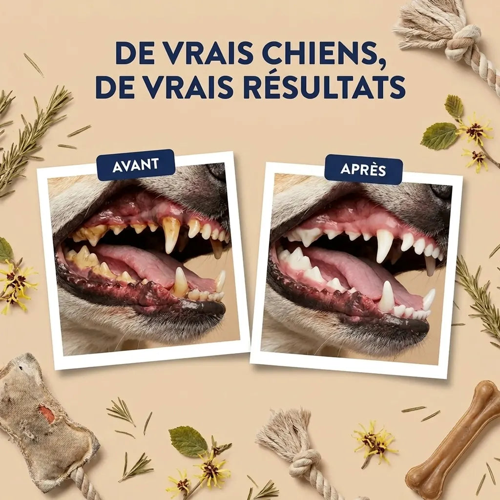 Lingettes Dentaires | Des dents propres et une haleine fraîche dès 7 jours : élimine jusqu'à 99 % de la plaque et des bactéries, en 30 secondes par jour et sans brosse