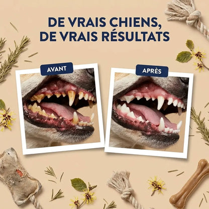 Lingettes Dentaires | Des dents propres et une haleine fraîche dès 7 jours : élimine jusqu'à 99 % de la plaque et des bactéries, en 30 secondes par jour et sans brosse