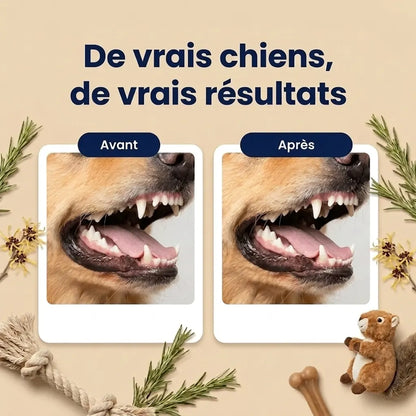 Lingettes Dentaires | Des dents propres et une haleine fraîche dès 7 jours : élimine jusqu'à 99 % de la plaque et des bactéries, en 30 secondes par jour et sans brosse
