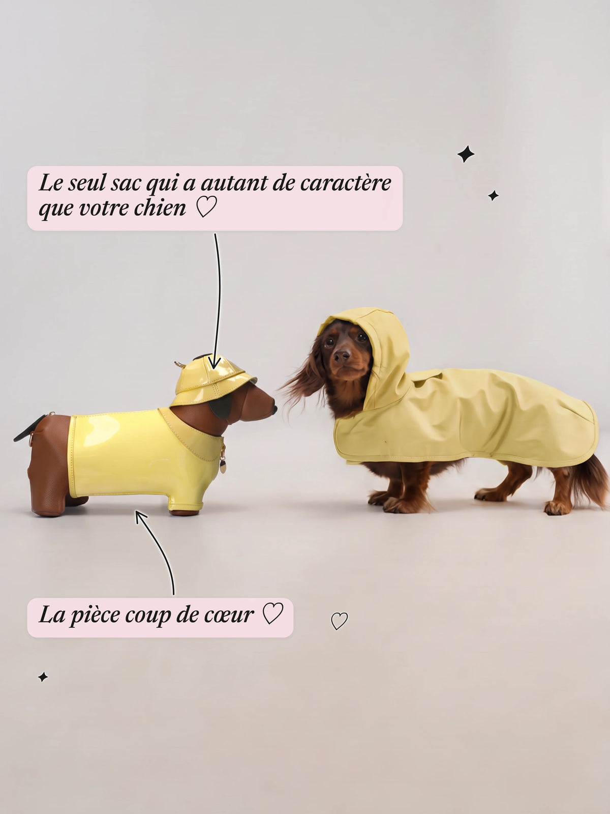 Le Sac Teckel - L'accessoire chic des amoureuses de teckels