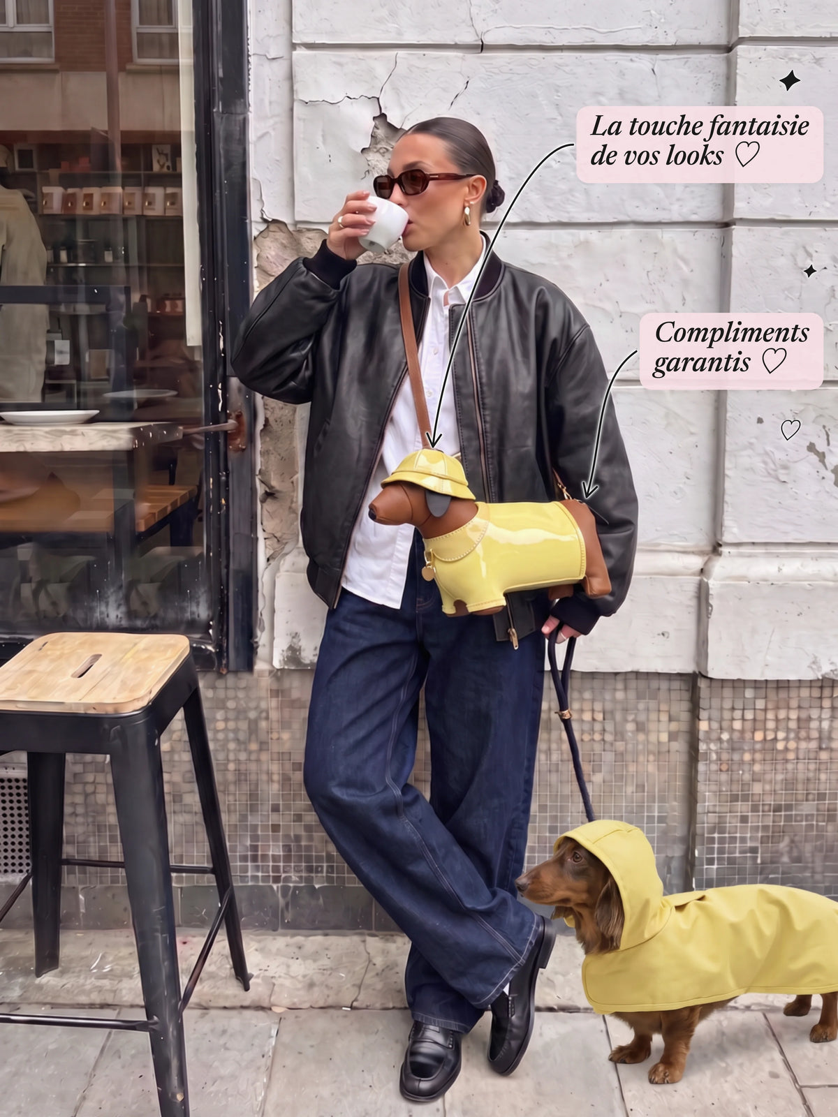Le Sac Teckel - L'accessoire chic des amoureuses de teckels